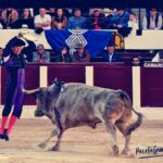 87454317_10216141726244462_4937764372240924672_n