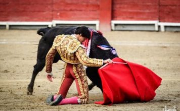 Lima: valor Arrollador de Roca Rey, Alma de Manzanares