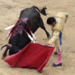 perlaza14a91b839a4244