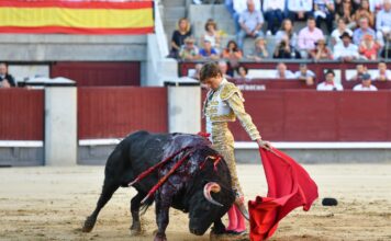 Lo más torero entre desdichas