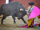 Una puñalada en los bajos deja a Perera sin puerta grande