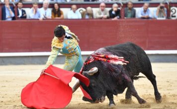 Madrid: La Tragedia y la Verdad Llenan la Hispanidad