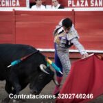 IMG-20191017-WA0009