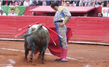 Dos orejas de diferente calibre