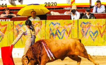 Apunte de Juangui: 7 Orejas, 7 Toros y 7 en Hombros