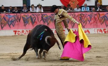 Volvió Roca Rey en Bogotá: histórico cierre de temporada con todos a hombros en La Santamaría