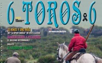 ENTRENAR (Y SOÑAR) EN LA DISTANCIA