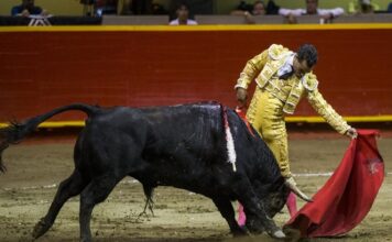 Iván Fandiño, Tres Años en la Eternidad