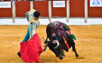 Úbeda: Un Maduro Lorenzo Saca Rédito del Fondo de Garcigrande y a Juli no lo Deja la Espada