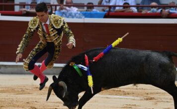 LO QUE NO SE VIÓ en Festejo 1 de Cali