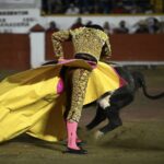 87BCFD8F-DB93-4AAD-AF04-AC8E4F2538C0