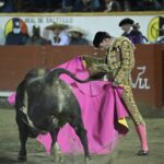 A1C170B4-1BB9-4D29-AF44-101284C9A908