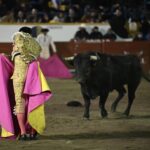 E0DA804C-1990-4994-B49C-945ED6752ABF