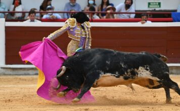 La Despedida en La Lente de Erick Cuatepotzo