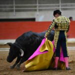 puentepiedraerickcuate (11)