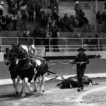 puentepiedraerickcuate (23)