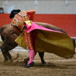 puentepiedraerickcuate (24)