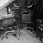 puentepiedraerickcuate (3)