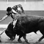 puentepiedraerickcuate (32)