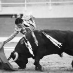 puentepiedraerickcuate (4)