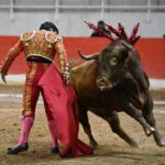 puentepiedraerickcuate (9)