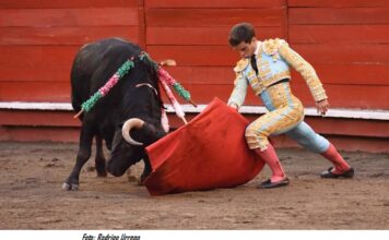 Cada Toro Tiene su Lidia