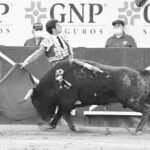 272813926_675008290344589_5189796389735509683_n