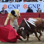 272850921_447194443738571_6673432367373242343_n