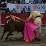 272868611_931824504360016_1706341931850861691_n