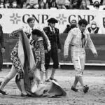 272897416_1629434604057295_6967687286884558092_n