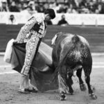 272920125_482330303359238_2864397696639574164_n