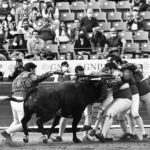 272920701_703094537482974_2166016509280301513_n