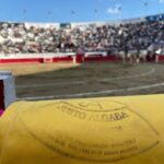 272924218_927580167960636_1768450801007168927_n