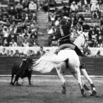 272943718_1132016620877926_8505228707616523758_n