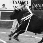 272975966_1538039949911439_8540410568446360543_n