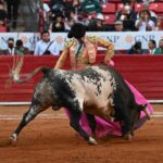 272999693_1500922323627611_4371060536789087060_n