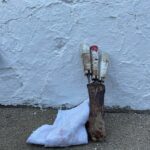 273020585_513852970047263_2364711390897870723_n