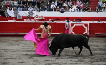 Andrés Manrique, Primera Oreja de la Feria de Manizales