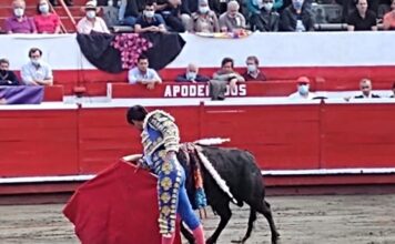 Todo Cuenta… Se Deben Cuidar los Detalles