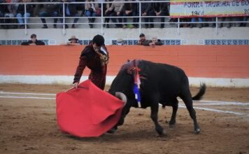 2ª de Puente Piedra: ¿Bravura y Casta o Trapío?