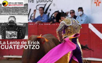 Dos Orejas de Aguilar En La Lente de Erick Cuatepotzo