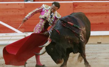 Antonio Ferrera se encerrará con seis toros de Miura en los Sanfermines