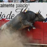 CDDF1334-2C47-43FC-85A5-8FDFFECD9E69