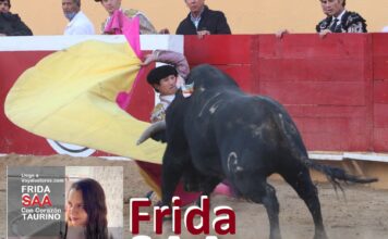 Frida Saa Con Corazón Taurino: Textoco – Finito, Armillita, Aguilar