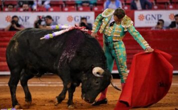 Ferrera por De Justo