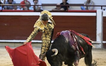 Cali: Bravura Sin Fuerza y Toreros de Alto Nivel