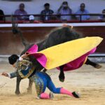 WhatsApp Image 2022-12-26 at 20.05.24