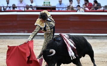 La Persecución de los Animalistas a la Cultura y el Sustento Rural