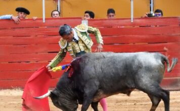 Lenguazaque: Regreso Triunfal y Madurez Torera