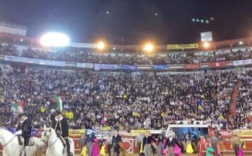 Manizales: La Gran Expresión del Toro Bravo